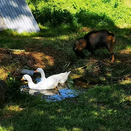 Casa de Férias Maison O Petit Bouchon à 10 min du Puy du Fou
